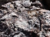 Up-close image of mineralized rock