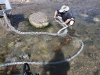 Dredging under a boulder